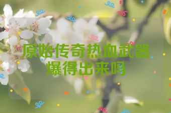 原始传奇热血武器爆得出来吗