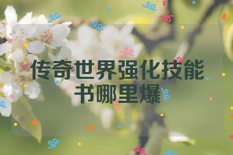 传奇世界强化技能书哪里爆