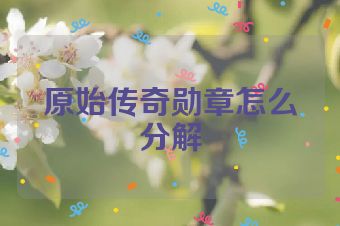 原始传奇勋章怎么分解