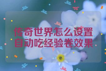 传奇世界怎么设置自动吃经验卷效果