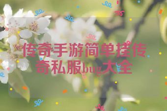 传奇手游简单挂传奇私服bug大全