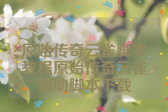 原始传奇云雀脚本教程原始传奇云雀辅助脚本下载