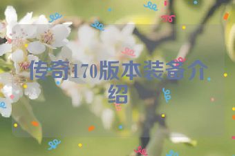 传奇170版本装备介绍