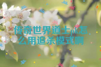 传奇世界道士pk怎么用追杀模式啊