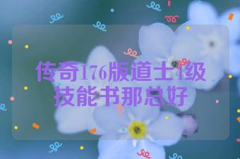 传奇176版道士4级技能书那总好