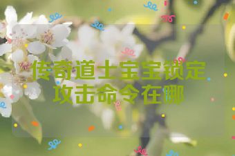 传奇道士宝宝锁定攻击命令在哪