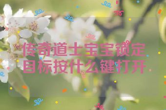 传奇道士宝宝锁定目标按什么键打开