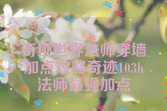 奇迹世界法师穿墙加点攻略奇迹103h法师最强加点