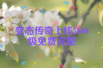 变态传奇上线5000级免费完整