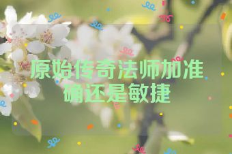 原始传奇法师加准确还是敏捷