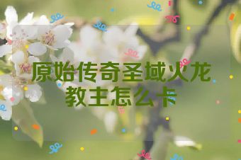 原始传奇圣域火龙教主怎么卡