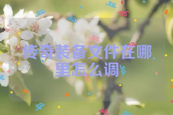 传奇装备文件在哪里怎么调