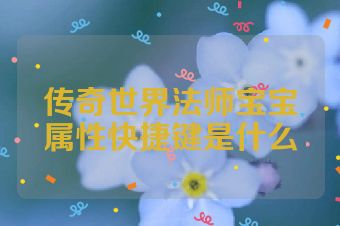 传奇世界法师宝宝属性快捷键是什么