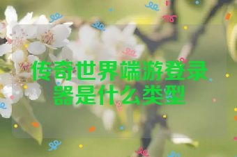 传奇世界端游登录器是什么类型