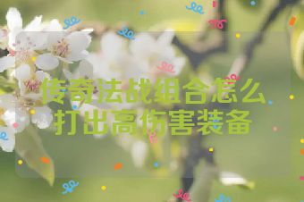 传奇法战组合怎么打出高伤害装备