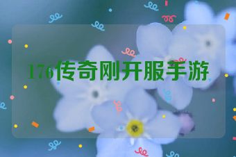 176传奇刚开服手游