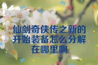 仙剑奇侠传之新的开始装备怎么分解在哪里啊