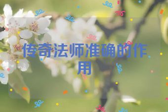 传奇法师准确的作用