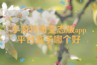 手游传奇变态版app平台盒子哪个好