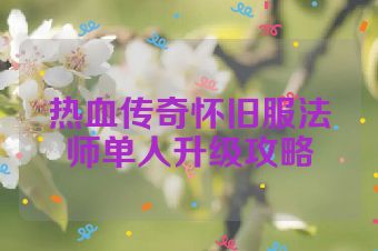 热血传奇怀旧服法师单人升级攻略