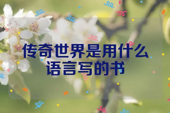 传奇世界是用什么语言写的书