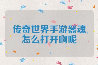 传奇世界手游器魂怎么打开啊呢