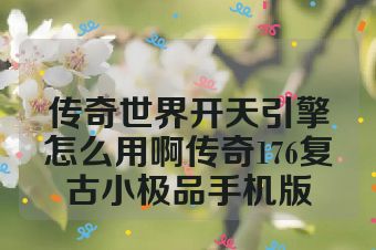 传奇世界开天引擎怎么用啊传奇176复古小极品手机版