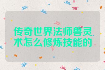 传奇世界法师兽灵术怎么修炼技能的