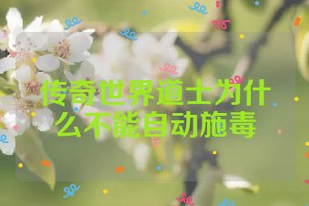 传奇世界道士为什么不能自动施毒