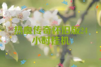 热血传奇怀旧版24小时挂机