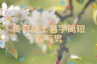 传奇战士名字简短霸气男