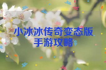 小冰冰传奇变态版手游攻略