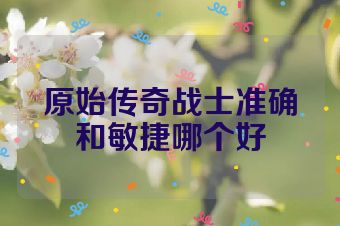 原始传奇战士准确和敏捷哪个好