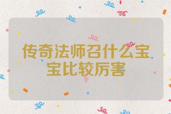传奇法师召什么宝宝比较厉害