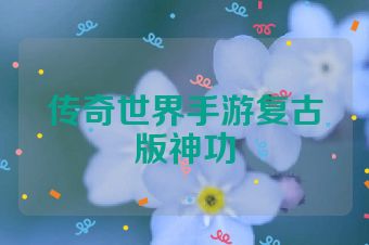 传奇世界手游复古版神功