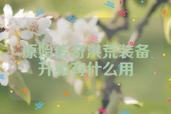 原始传奇洪荒装备升级有什么用