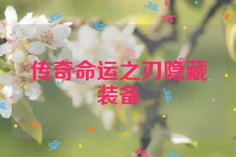 传奇命运之刃隐藏装备