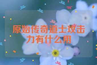 原始传奇道士攻击力有什么用