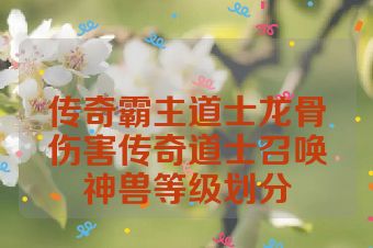 传奇霸主道士龙骨伤害传奇道士召唤神兽等级划分