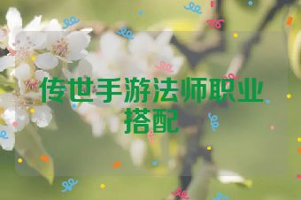 传世手游法师职业搭配