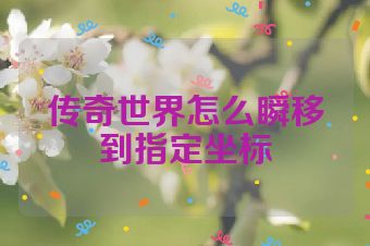传奇世界怎么瞬移到指定坐标