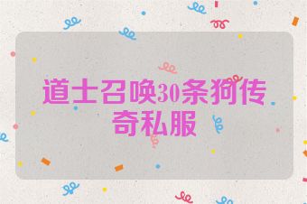 道士召唤30条狗传奇私服