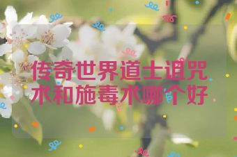 传奇世界道士诅咒术和施毒术哪个好