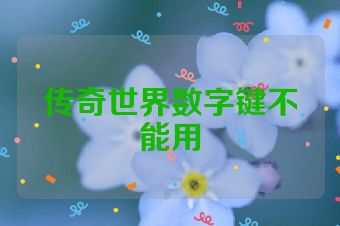 传奇世界数字键不能用
