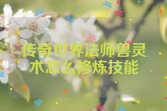 传奇世界法师兽灵术怎么修炼技能