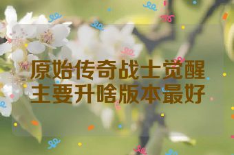 原始传奇战士觉醒主要升啥版本最好