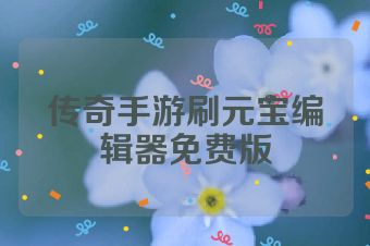 传奇手游刷元宝编辑器免费版