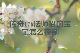 传奇176法师招的宝宝怎么控制