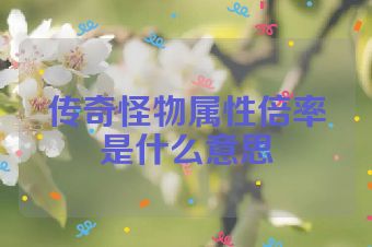 传奇怪物属性倍率是什么意思