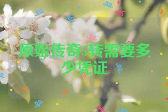 原始传奇5转需要多少凭证